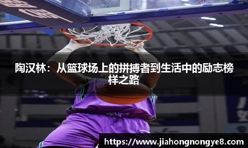 陶汉林：从篮球场上的拼搏者到生活中的励志榜样之路